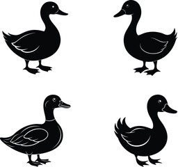 Set of Duck Silhouette collection vector illustration.Silhouettes of wild and domestic duck