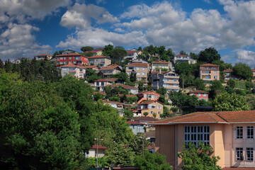 Obraz premium Southern cityscape, view of buildings and houses with green plants in public places in Turkey, sunny summer day in the city of Istanbul