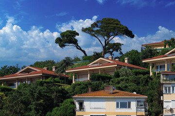 Obraz premium Southern cityscape, view of buildings and houses with green plants in public places in Turkey, sunny summer day in the city of Istanbul