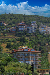 Southern cityscape, view of buildings and houses with green plants in public places in Turkey, sunny summer day in the city of Istanbul