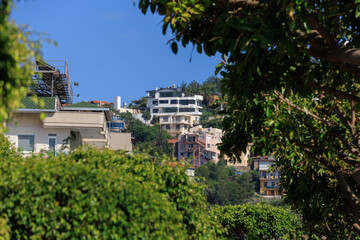 Southern cityscape, view of buildings and houses with green plants in public places in Turkey, sunny summer day in the city of Istanbul