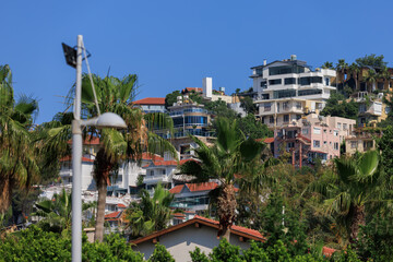 Obraz premium Southern cityscape, view of buildings and houses with green plants in public places in Turkey, sunny summer day in the city of Istanbul