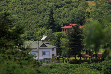 Cityscape, view of buildings and houses with green plants in public places in Turkey, sunny summer day in the city of Istanbul