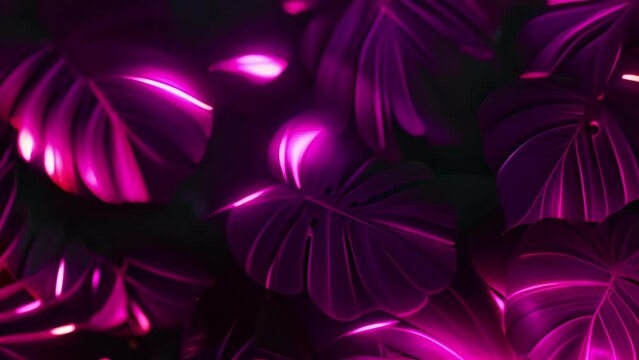 Neon tropical leaves. Color exotic tree and plant leaf, colorful palm leaves. Leaf floral tropical, rainforest foliage exotic, fashion botanical neon lights 4k video