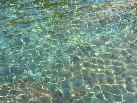 Sea clear transparent water with algae and pebbles at the bottom
