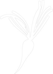 Obraz premium carrot outline