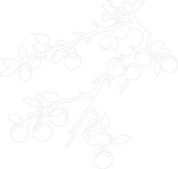 crabapple outline