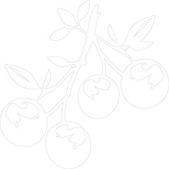 crabapple outline