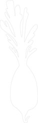 Obraz premium daikon outline