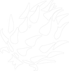 dragon fruit outline
