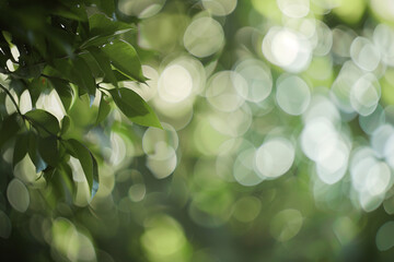 Fototapeta premium Blurred image of green leaves with soft bokeh light effect