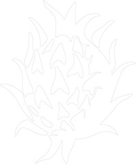 Obraz premium dragon fruit outline