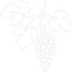 Fototapeta premium grape outline
