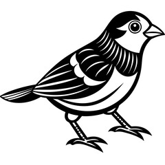 illustration of a bird