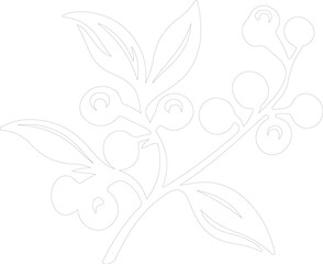 lingonberry outline
