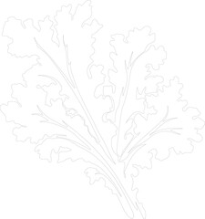mustard greens outline