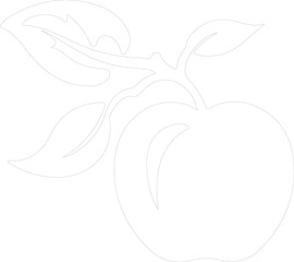 Obraz premium nectarine outline