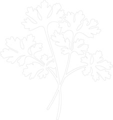 parsley outline