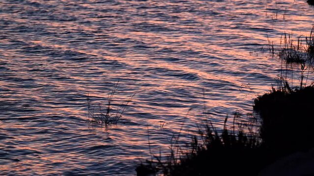 inquadratura in primo piano, leggermente dall'alto, di una scena naturale molto tranquilla che mostra l'acqua calma e blu di un fiume e le sue onde, colorate di arancione dal tramonto