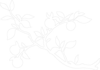 Fototapeta premium prune outline