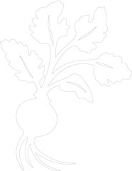 radish outline