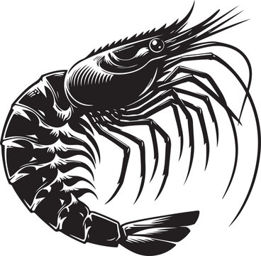recommend clip art: Shrimp silhouette vector illustration