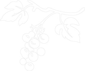 Obraz premium raisin outline