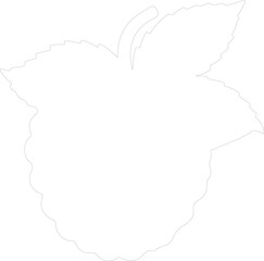 raspberry outline