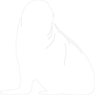 recommend clip art: walrus outline