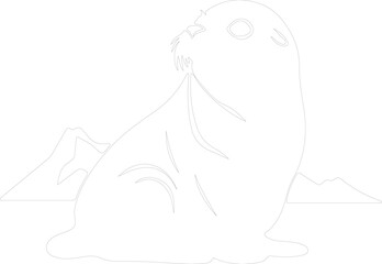 Weddell seal outline