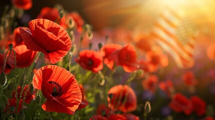 A field of red poppies with a flag in the background