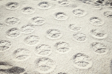A drawing on the sand by the sea travel background