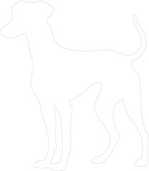 Obraz premium whippet outline