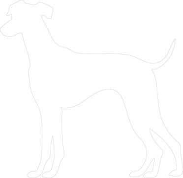recommend clip art: whippet outline