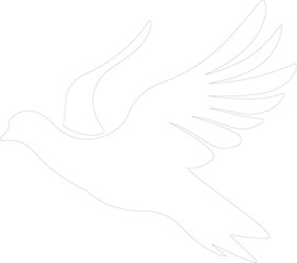 white dove outline