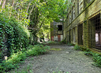 The backside of a dilapidated Victorian stone mill is being reclaimed by nature, with vines and...