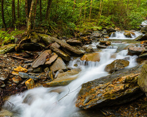 Alum Cave Creek Cascading Through Appalachian Forest, Great Smoky Mountains National Park, tennessee, USA