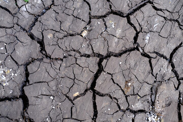 cracked and parched earth, stark reminder devastating effects drought