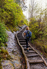  Female Hiker on The Alum Cave Trail on Mt. LeConte, Great Smoky Mountains National Park,...