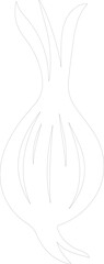 Obraz premium shallot outline