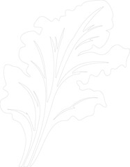 Swiss chard outline