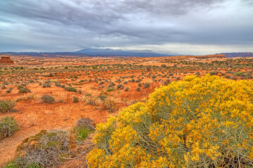 Arches National Park
