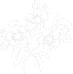 apple blossom outline