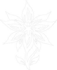 Fototapeta premium edelweiss outline