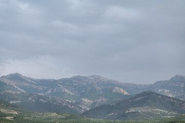 A beautiful view of mountain ridge with agricultural fields of Olive in the province of Jaen, Andalusia. Spain