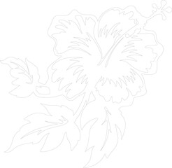 hibiscus outline