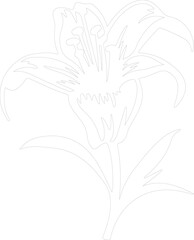 lily outline