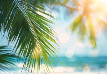 Obraz premium A sunny sand beach with a stunning sea view, framed by green palm leaves on a tropical shore. The bokeh of sunlight on waves creates an abstract backdrop, perfect for summer vacations and travel dream