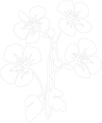nasturtium outline