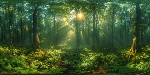 Obraz premium An immersive 360-degree panorama of a tranquil forest glade, with sunlight filtering through the canopy and birdsong filling